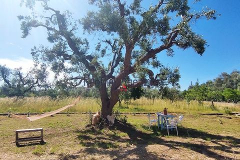 Landejendom i Carovigno, Brindisi, Carovigno - € 98.000 | Ref: 122569 - foto 18